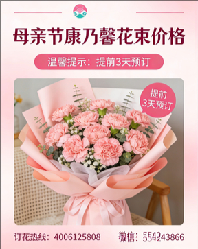 驻马店遂平县花店母亲节康乃馨花束