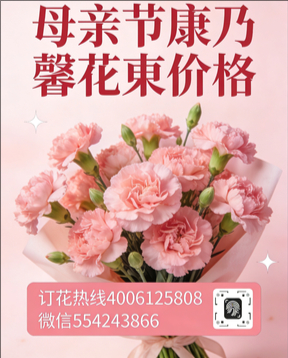 驻马店遂平县花店母亲节康乃馨花束